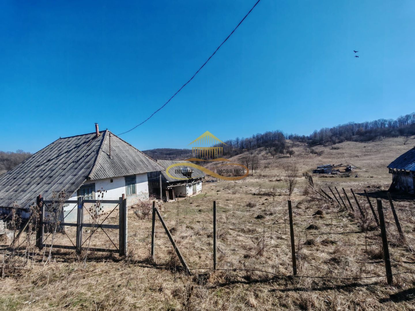 Vand teren intravilan Stejaru Bacau - Featured Image 1