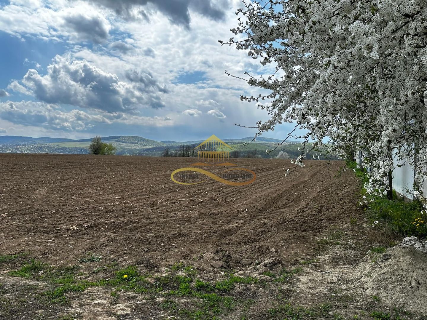 De vanzare doua loturi de teren in Fantanele-Bacau - Featured Image 1