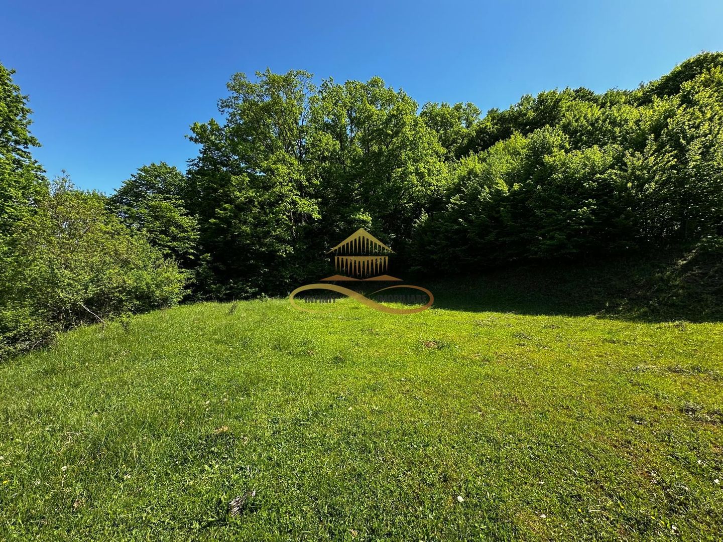 Teren intravilan de vanzare 1439 mp Luncani strada Slatinei – Bacau - Featured Image 1